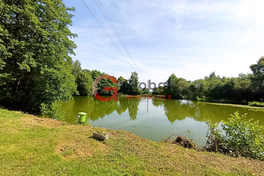 Maison à vendre à Les portes du coglais