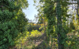 Terrain à vendre à Beaugency — Vue nature — photo 5