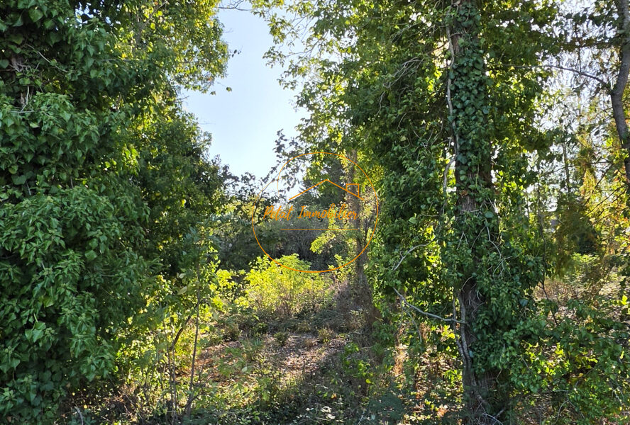 Terrain à vendre à Beaugency — Vue nature — photo 5