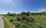 Terrain à vendre à L&rsquo;Île-d&rsquo;olonne — Vue nature — photo 2