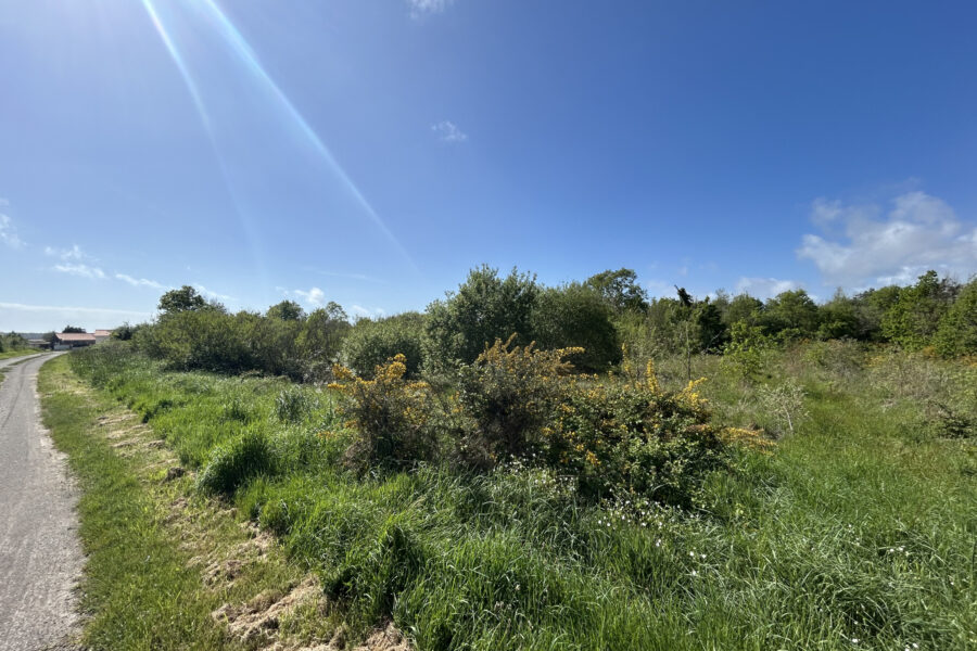 Terrain à vendre à L&rsquo;Île-d&rsquo;olonne — Vue nature — photo 2