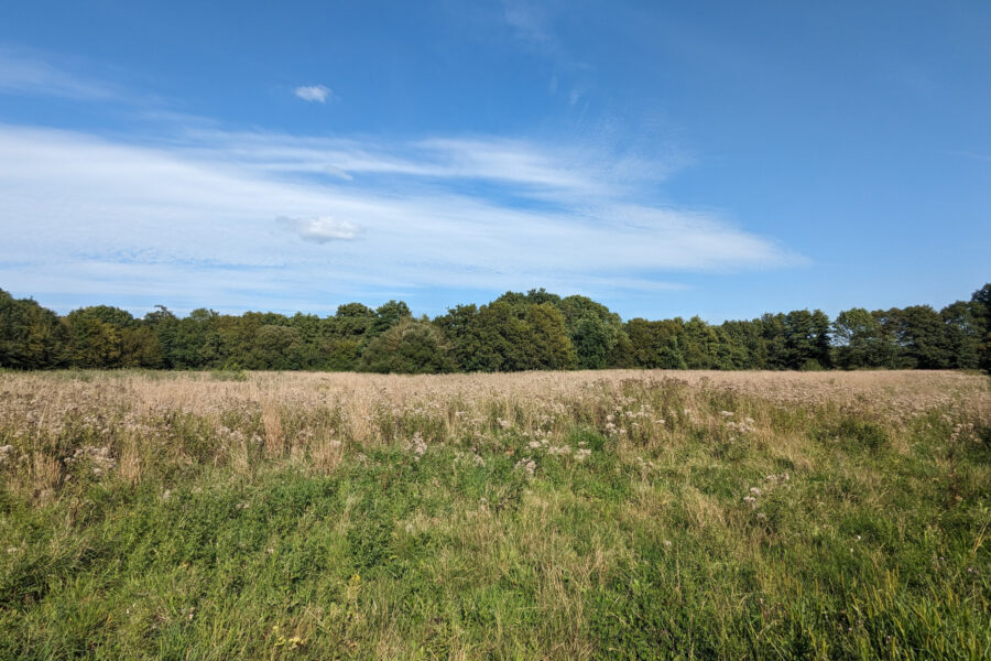 Terrain à vendre à Beignon