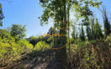Terrain à vendre à Beaugency — Vue nature — photo 3