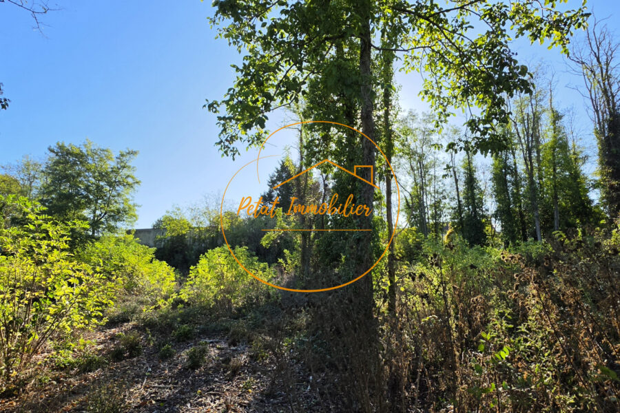 Terrain à vendre à Beaugency — Vue nature — photo 3