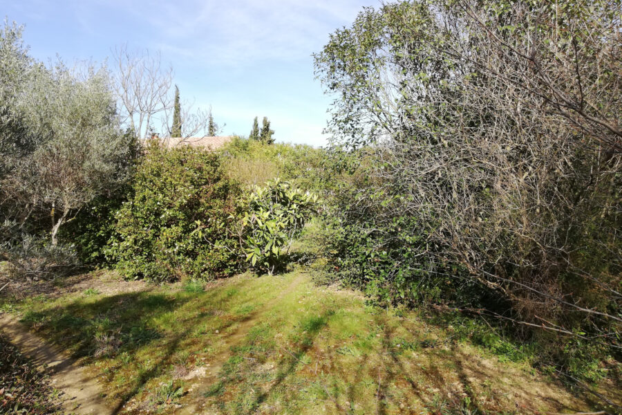 Terrain à vendre à Plaissan