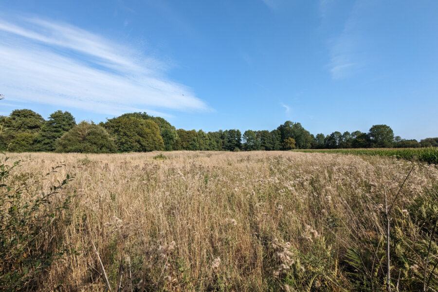 Terrain à vendre à Beignon