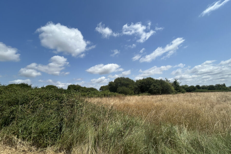 Terrain à vendre à L&rsquo;Île-d&rsquo;olonne