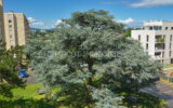 Appartement à vendre à Lyon