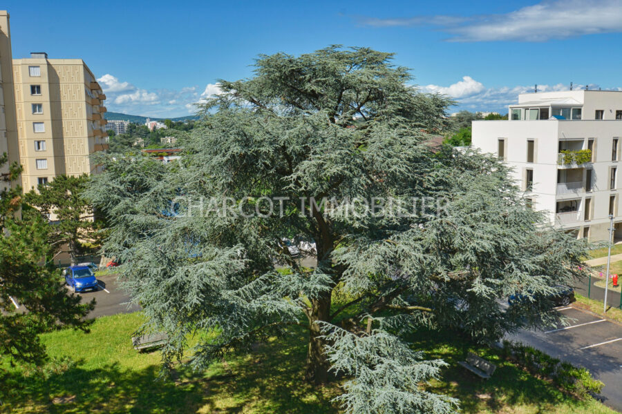 Appartement à vendre à Lyon