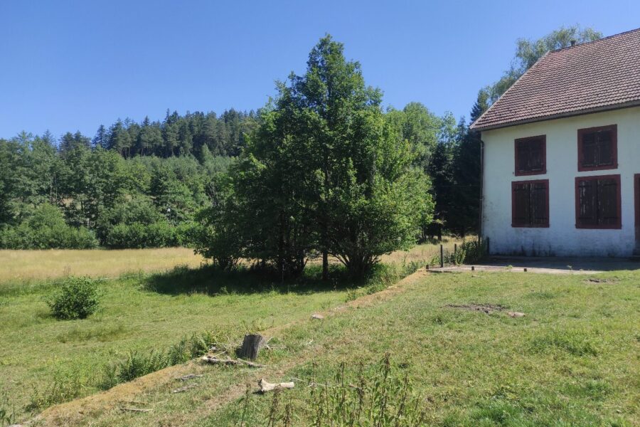 Maison à vendre à Bois-de-champ
