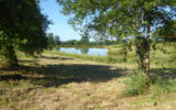 Terrain à vendre à Le buis