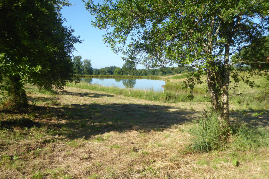 Terrain à vendre à Le buis