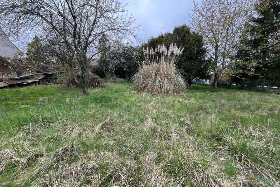 Terrain à vendre à Guignes — Vue dégagée — photo 5