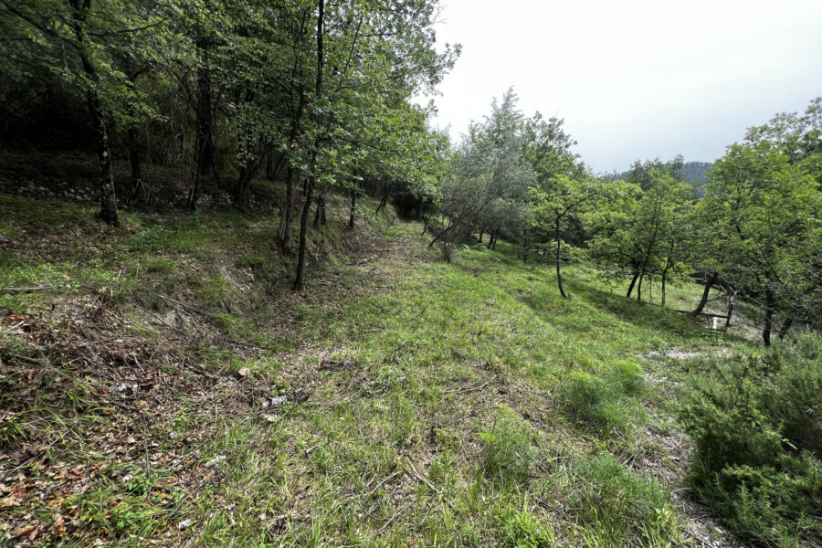 Terrain à vendre à Lucéram