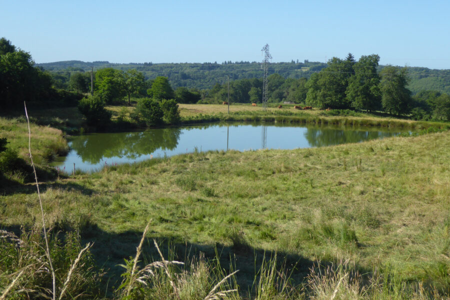 Terrain à vendre à Le buis