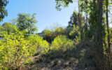 Terrain à vendre à Beaugency — Vue nature — photo 6