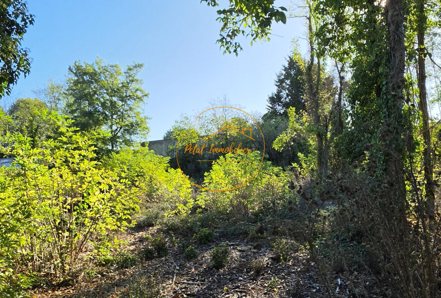 Terrain à vendre à Beaugency — Vue nature — photo 6