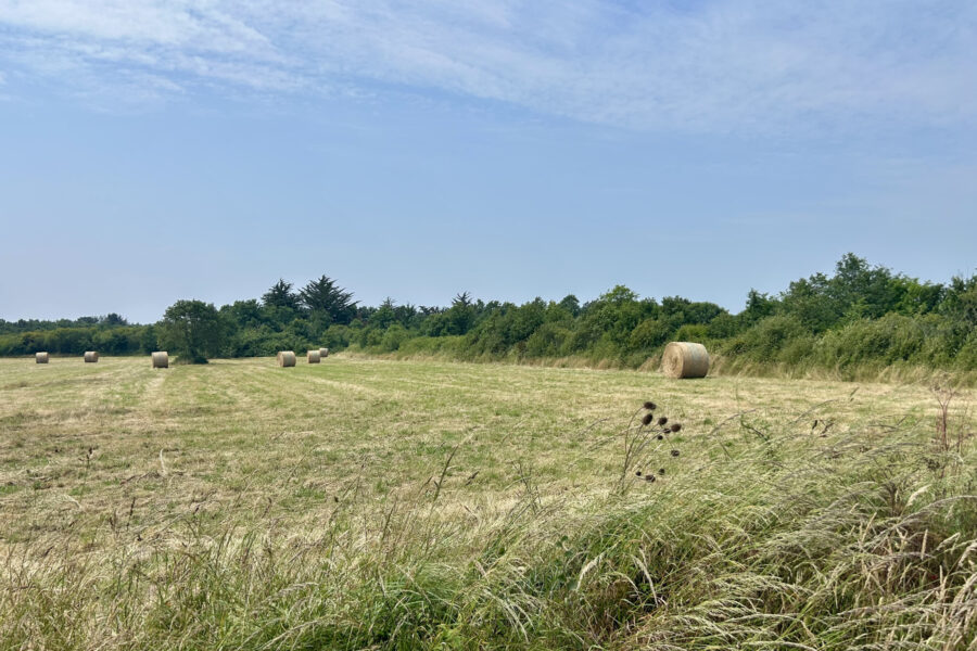Terrain à vendre à L&rsquo;Île-d&rsquo;olonne — Vue nature — photo 1