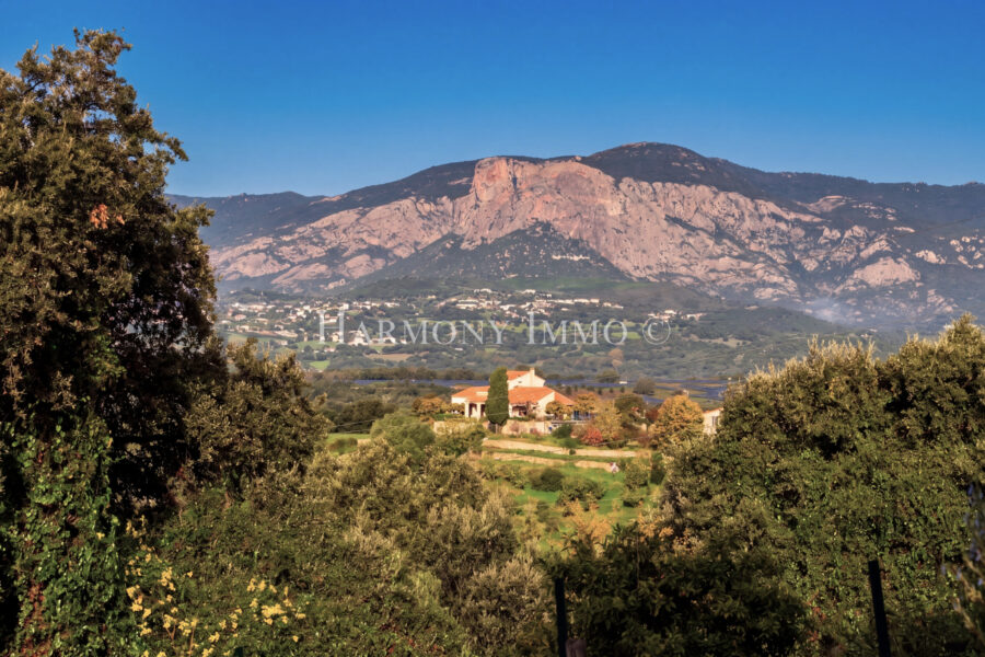 Terrain à vendre à Bastelicaccia