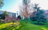 Appartement à vendre à Ville-d&rsquo;avray