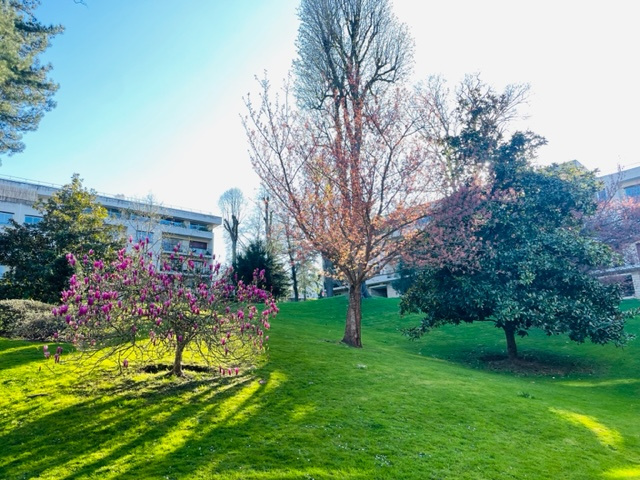 Appartement à vendre à Ville-d&rsquo;avray