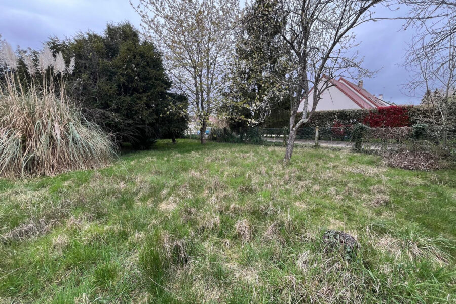 Terrain à vendre à Guignes — Vue dégagée — photo 4