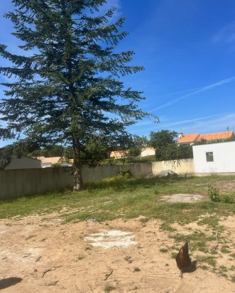 Terrain à vendre à Vairé
