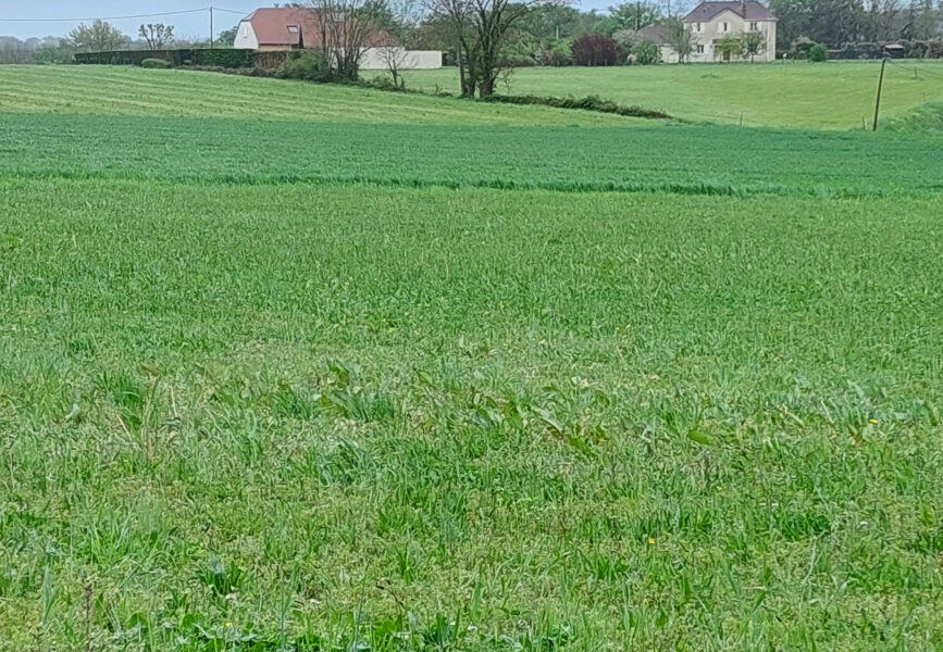 Terrain à vendre à Cescau