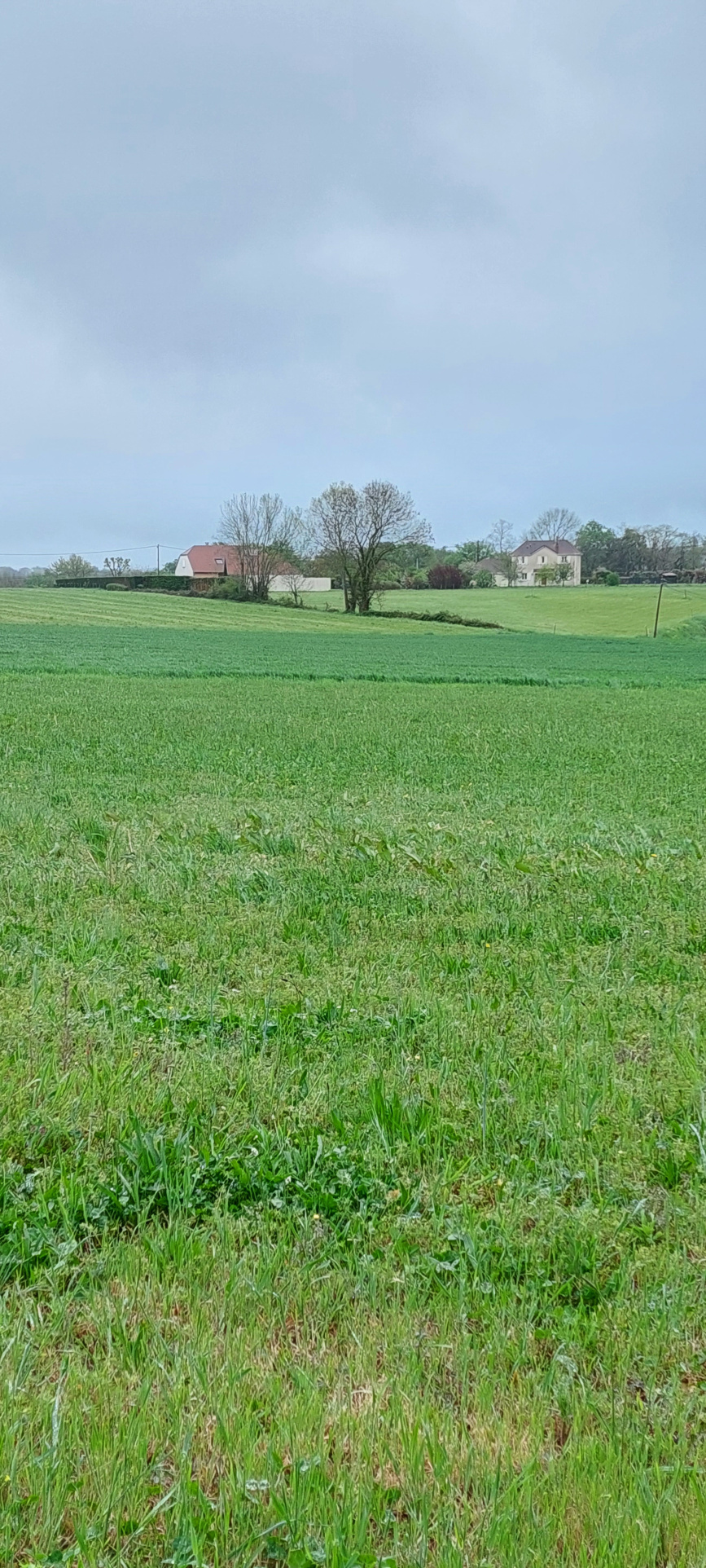 Terrain à vendre à Cescau