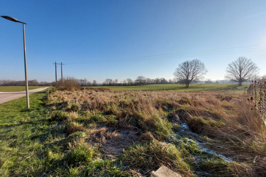 Terrain à vendre à Planrupt