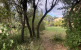 Terrain à vendre à Le crès