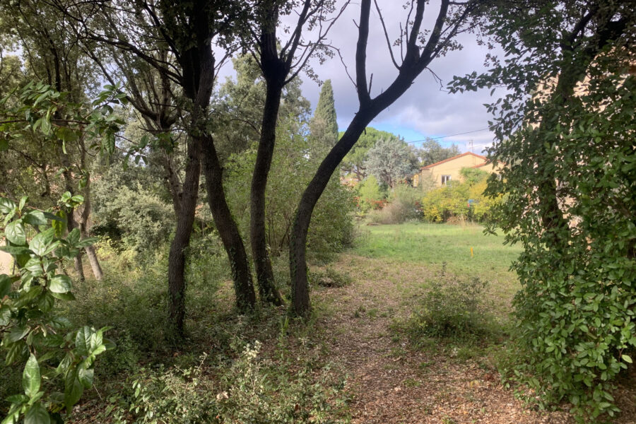Terrain à vendre à Le crès