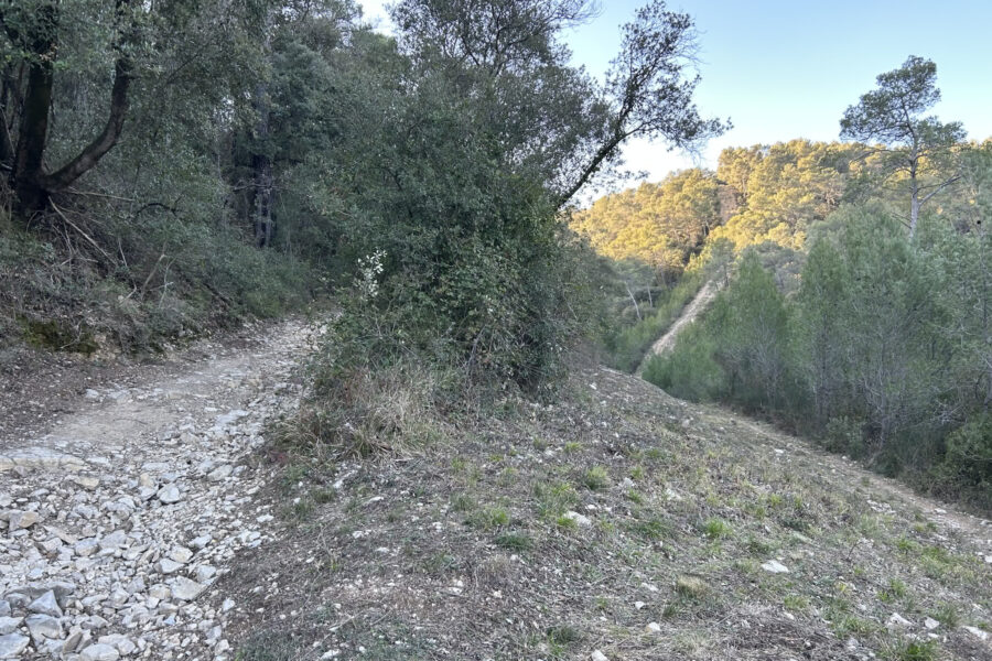 Terrain à vendre à Rocbaron — Vue nature — photo 6