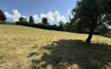 Terrain à vendre à Celles-sur-durolle