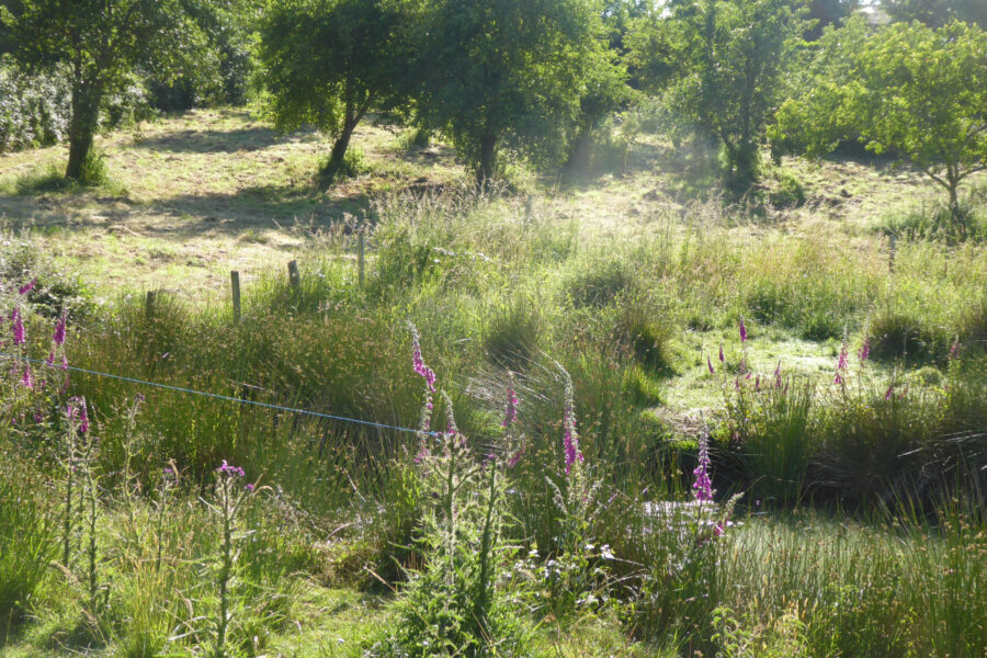 Terrain à vendre à Le buis