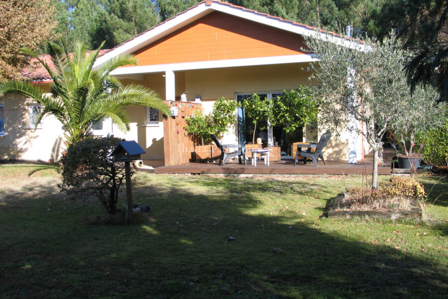 Maison à vendre à Sanguinet — Vue nature — photo 20