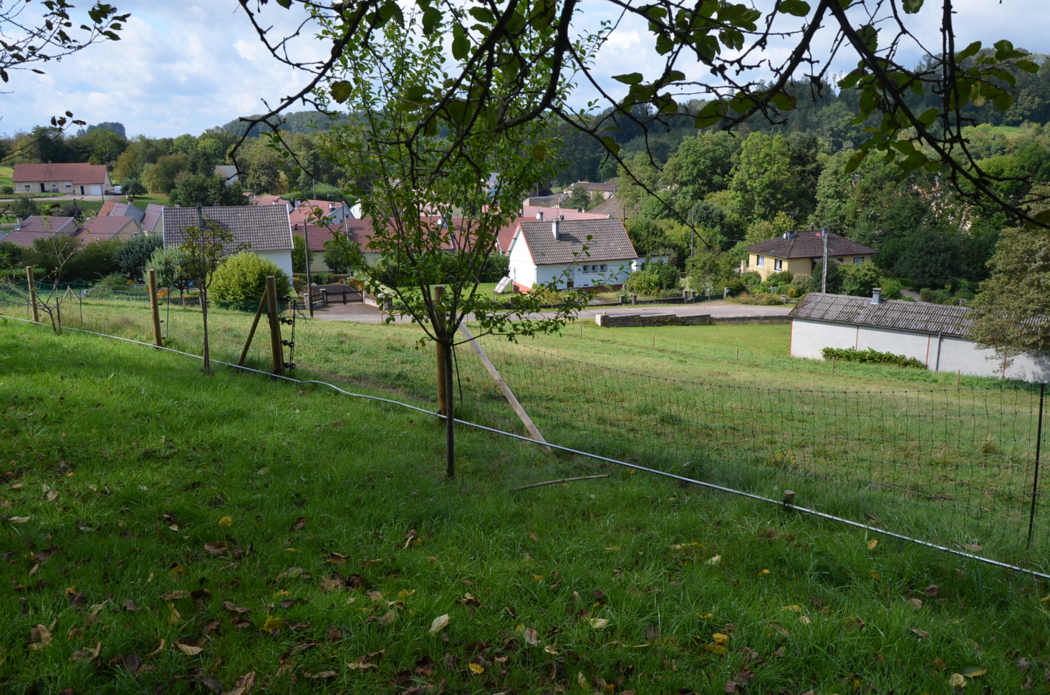 Maison à vendre à Fougerolles