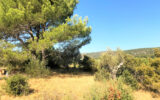 Terrain à vendre à Aniane