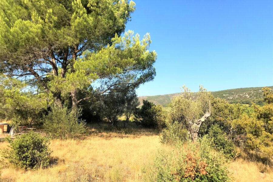 Terrain à vendre à Aniane