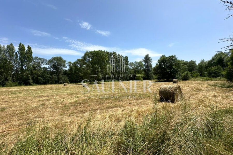 Maison à vendre à Chançay — Vue fleuve — photo 16