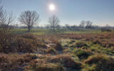 Terrain à vendre à Planrupt