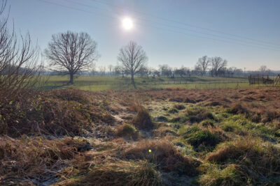 Terrain à vendre à Planrupt