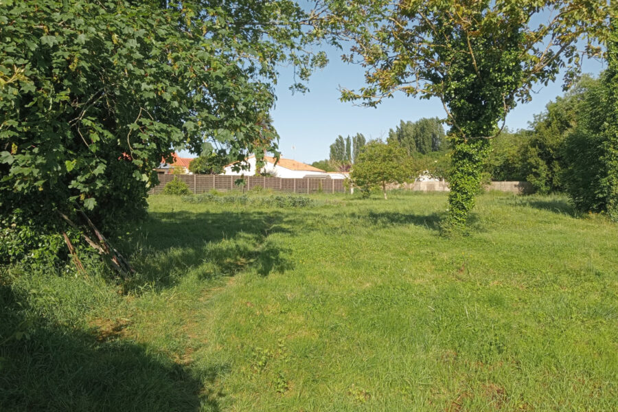 Terrain à vendre à Luçon