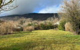 Terrain à vendre à Gex