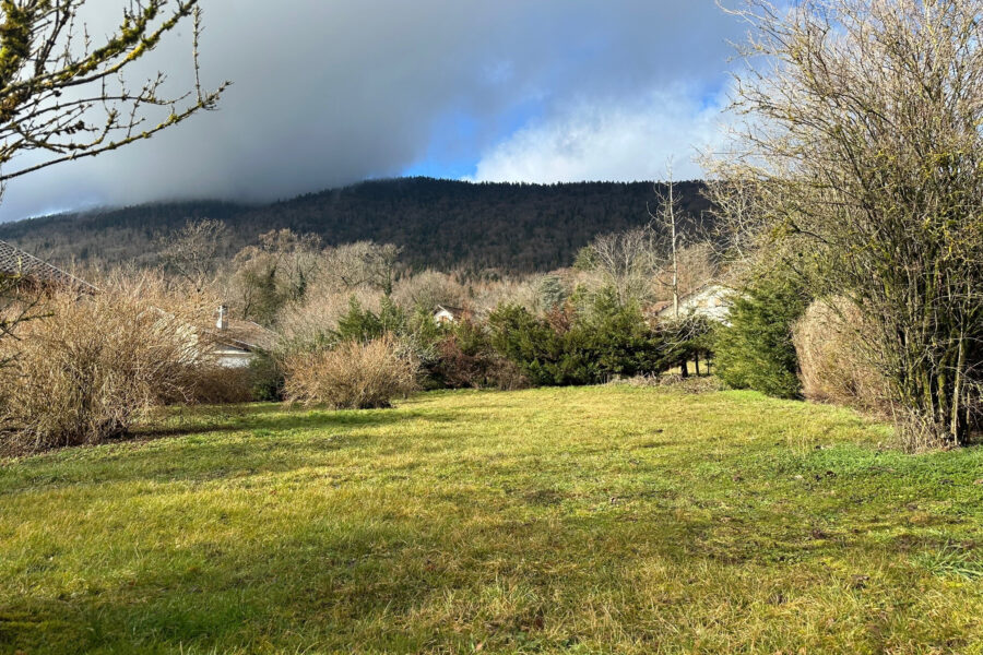 Terrain à vendre à Gex