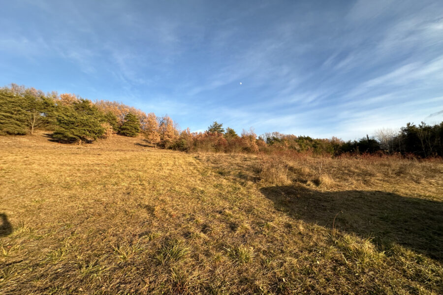 Terrain à vendre à Châteauvieux
