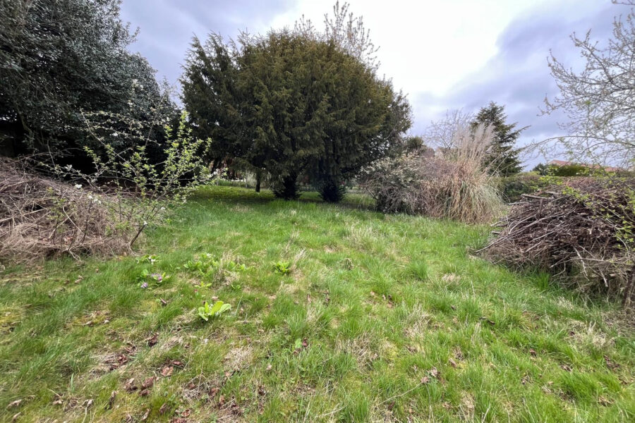 Terrain à vendre à Guignes — Vue dégagée — photo 6
