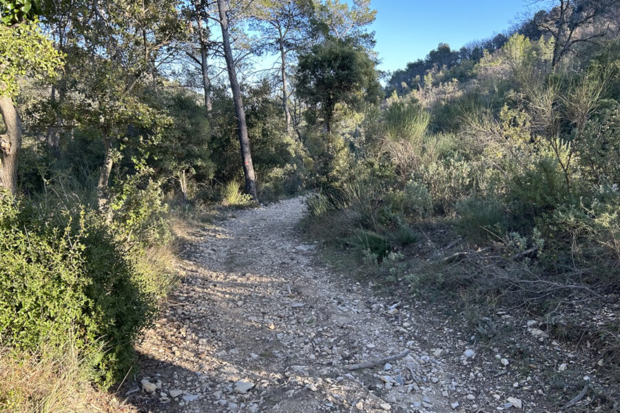 Terrain à vendre à Rocbaron — Vue nature — photo 4