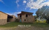 Maison à vendre à Torrita di siena