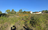 Terrain à vendre à Beaugency — Vue nature — photo 6